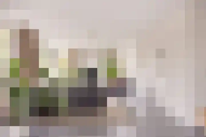 Einsteinstraat 1 Boxtel thumbnail 6