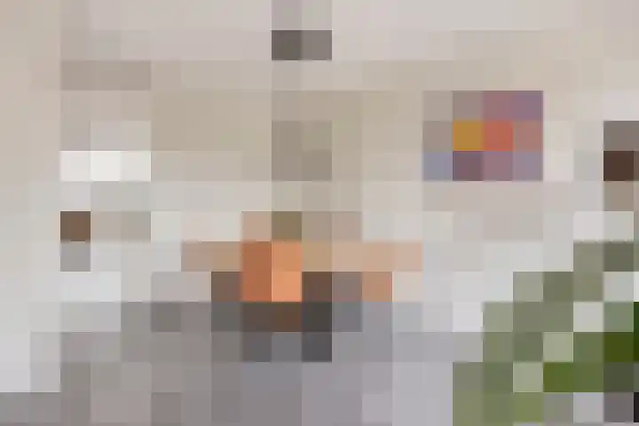 Einsteinstraat 1 Boxtel thumbnail 7
