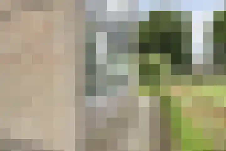 Einsteinstraat 101 Nijmegen thumbnail 16