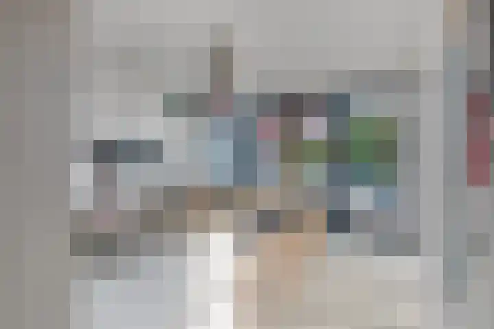 Einsteinstraat 22 Boxtel thumbnail 23