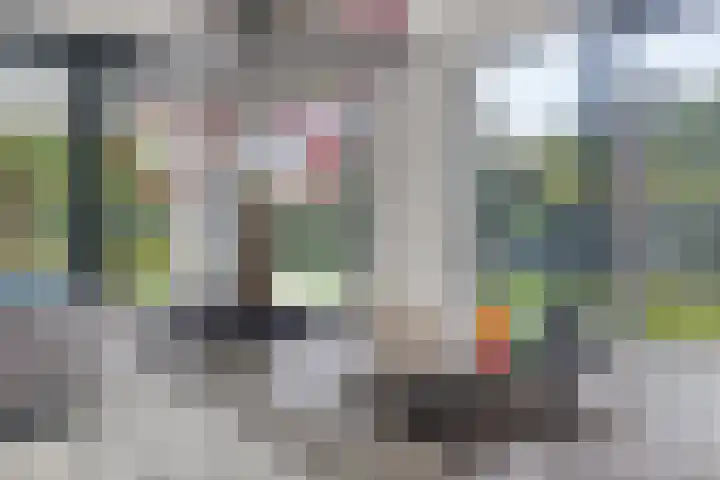 Einsteinstraat 22 Boxtel thumbnail 25