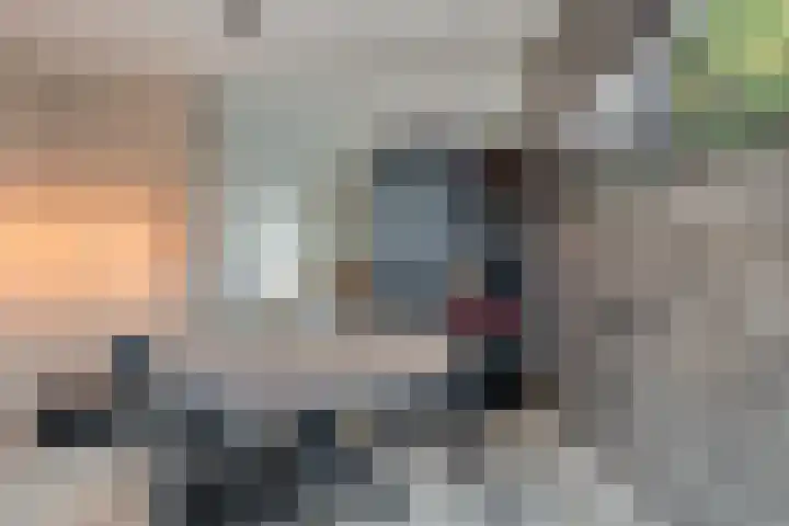 Einsteinstraat 22 Boxtel thumbnail 29