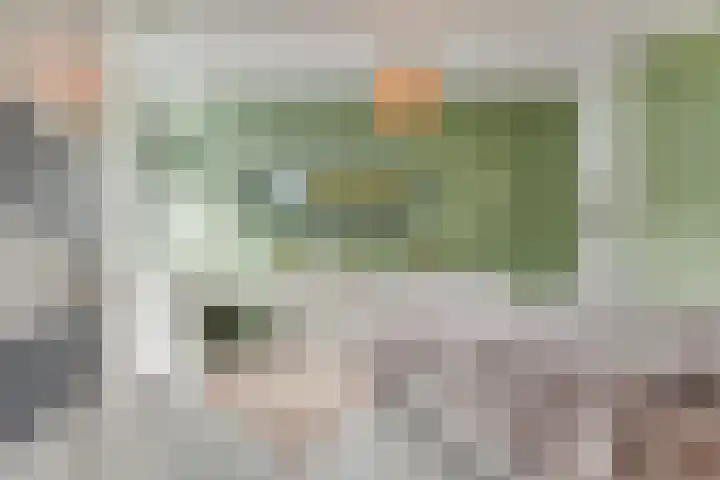 Einsteinstraat 22 Boxtel thumbnail 35