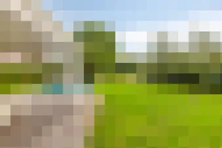 Einsteinstraat 22 Boxtel thumbnail 64