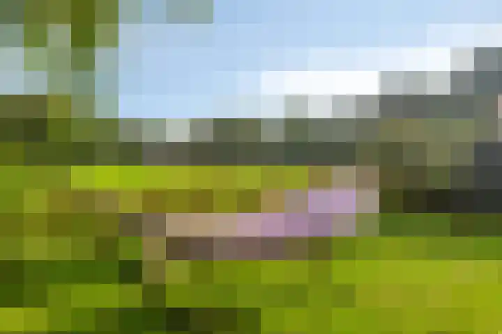 Einsteinstraat 22 Boxtel thumbnail 69