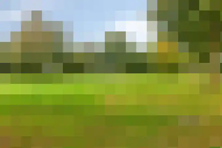 Einsteinstraat 22 Boxtel thumbnail 73