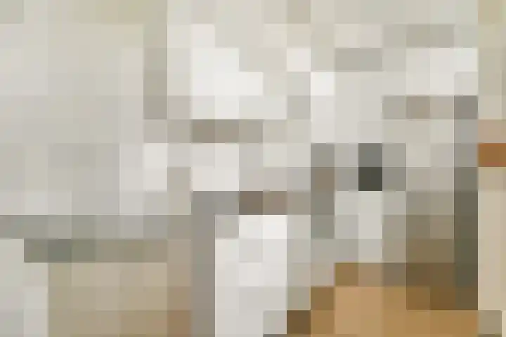 Einsteinstraat 24 Haarlem thumbnail 11