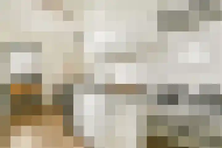 Einsteinstraat 24 Haarlem thumbnail 12