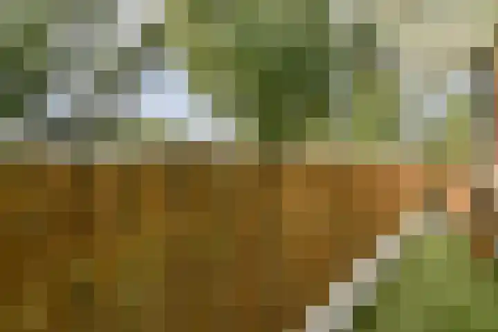 Einsteinstraat 24 Haarlem thumbnail 13