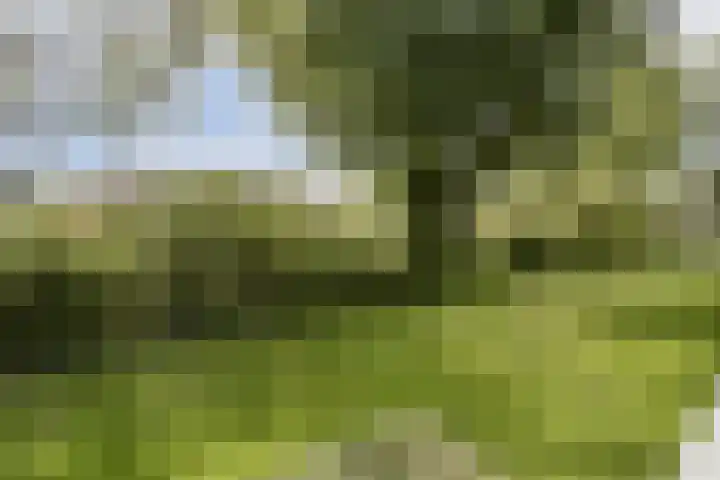 Einsteinstraat 24 Haarlem thumbnail 14