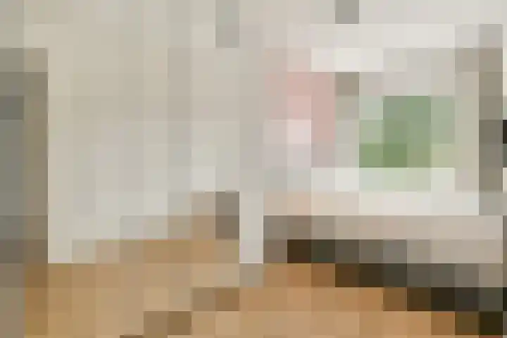 Einsteinstraat 24 Haarlem thumbnail 15