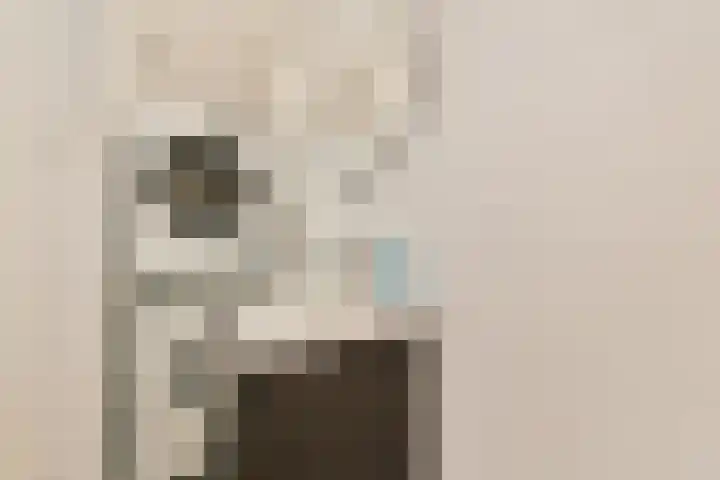 Einsteinstraat 24 Haarlem thumbnail 18