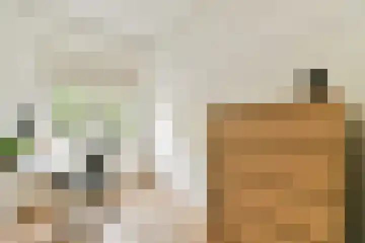 Einsteinstraat 24 Haarlem thumbnail 19