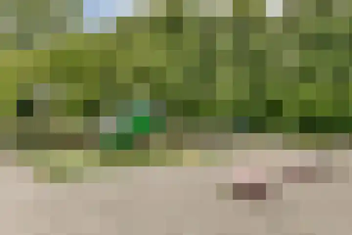 Einsteinstraat 24 Haarlem thumbnail 21