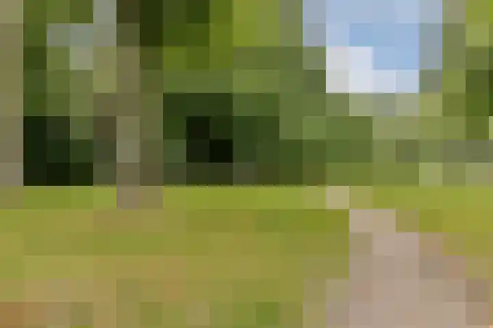 Einsteinstraat 24 Haarlem thumbnail 22