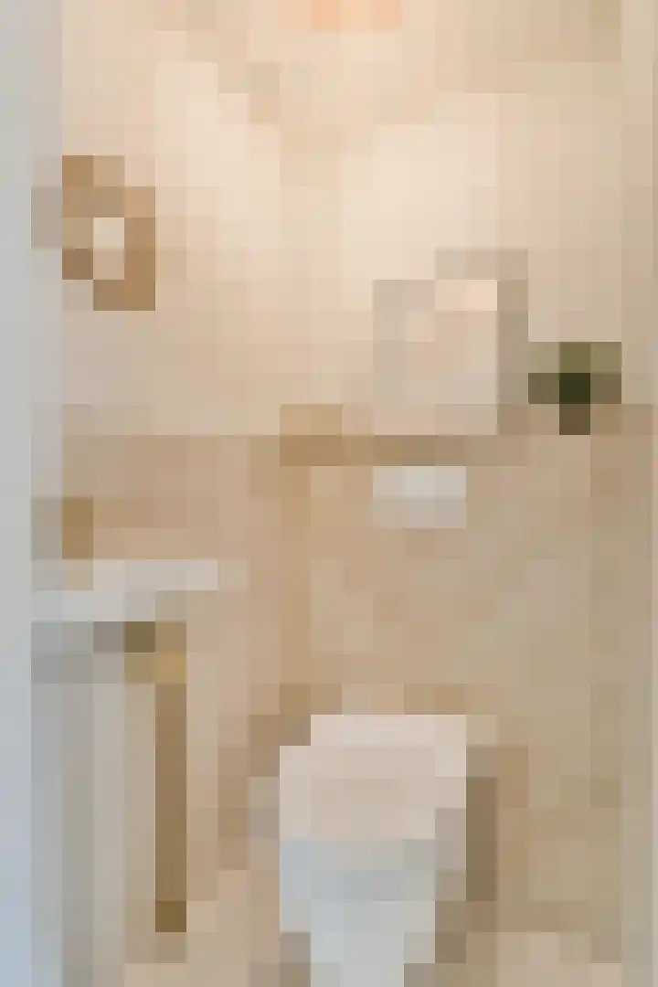 Einsteinstraat 24 Haarlem thumbnail 4