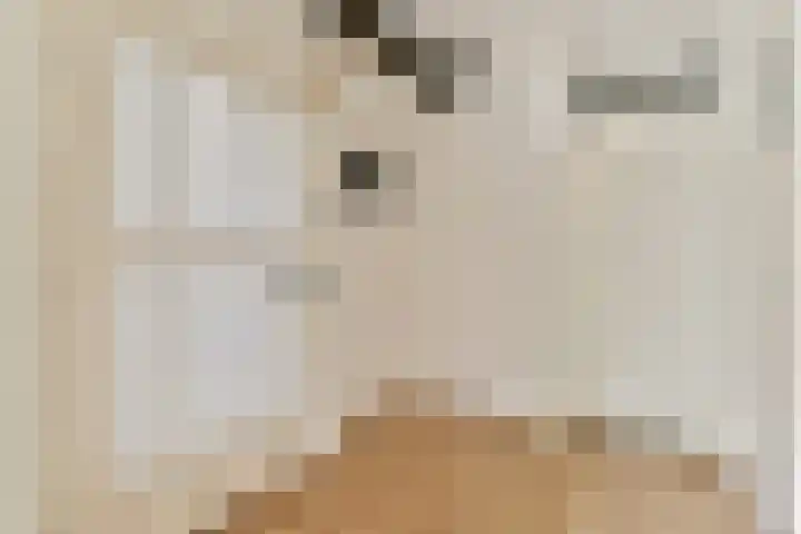Einsteinstraat 24 Haarlem thumbnail 5