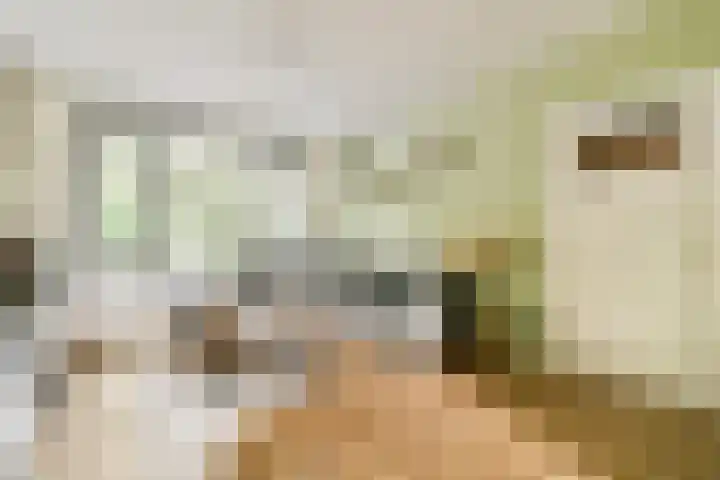 Einsteinstraat 24 Haarlem thumbnail 6