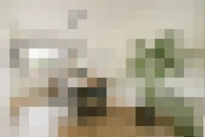 Einsteinstraat 24 Haarlem thumbnail 8