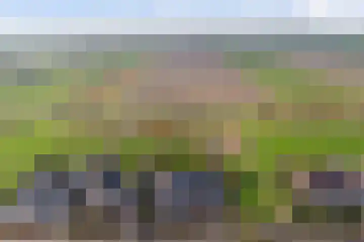 Einsteinstraat 31 Kruiningen foto 2