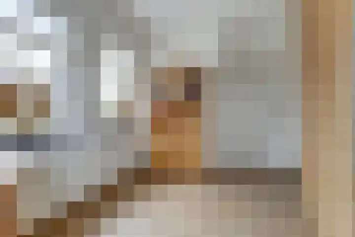 Einsteinstraat 31 Kruiningen thumbnail 25