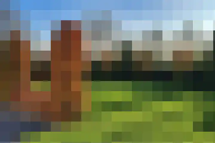 Einsteinstraat 31 Kruiningen thumbnail 47