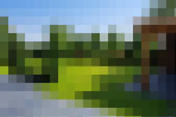 Einsteinstraat 31 Kruiningen thumbnail 48