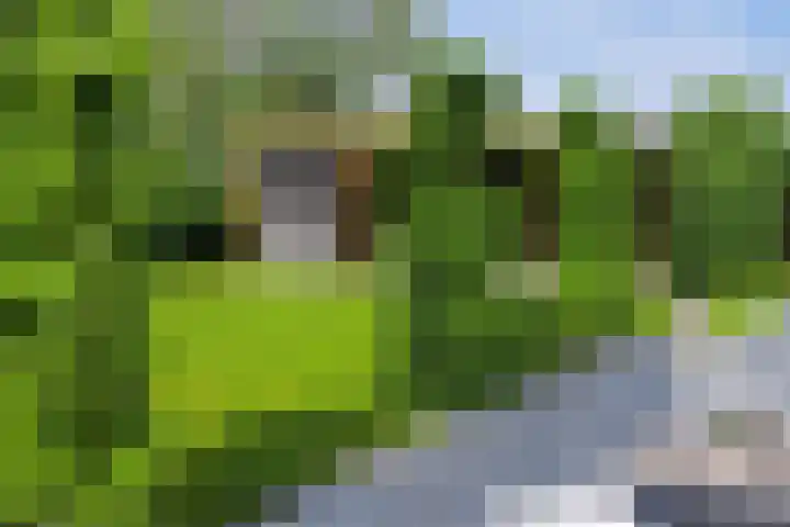 Einsteinstraat 31 Kruiningen thumbnail 50