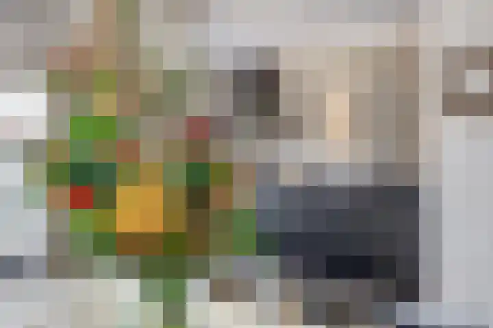 Einsteinstraat 4 Kruiningen thumbnail 13