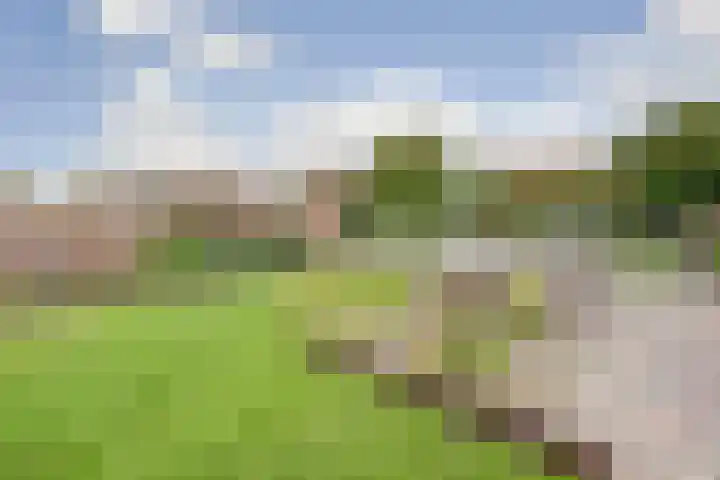 Einsteinstraat 4 Kruiningen thumbnail 39