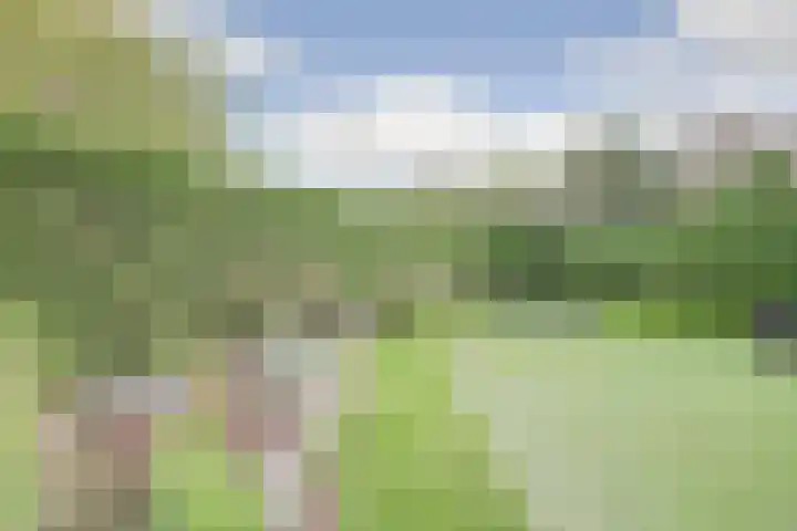 Einsteinstraat 4 Kruiningen thumbnail 40