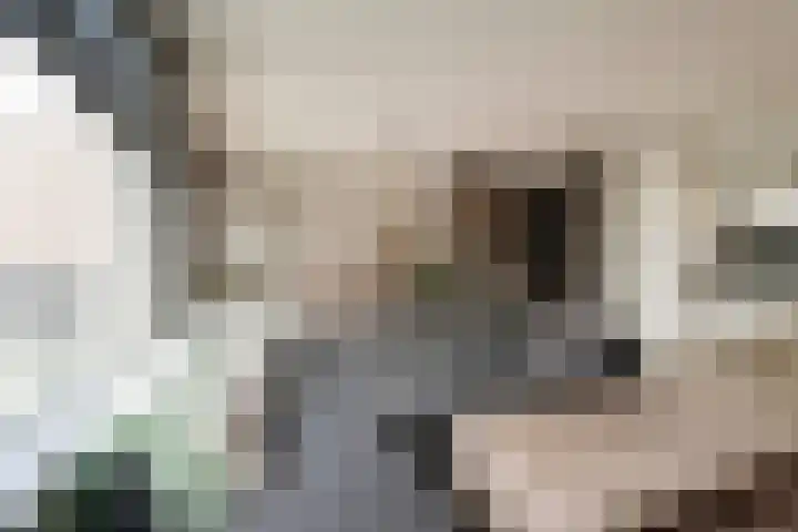 Einsteinstraat 5 Kudelstaart thumbnail 25