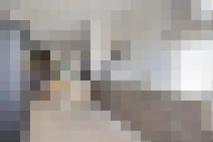 Einthovenpad 43 Rotterdam thumbnail 10