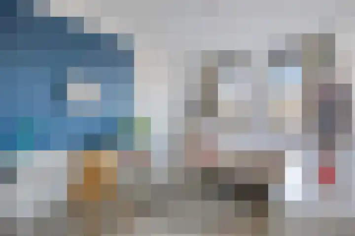 Einthovenpad 43 Rotterdam thumbnail 13