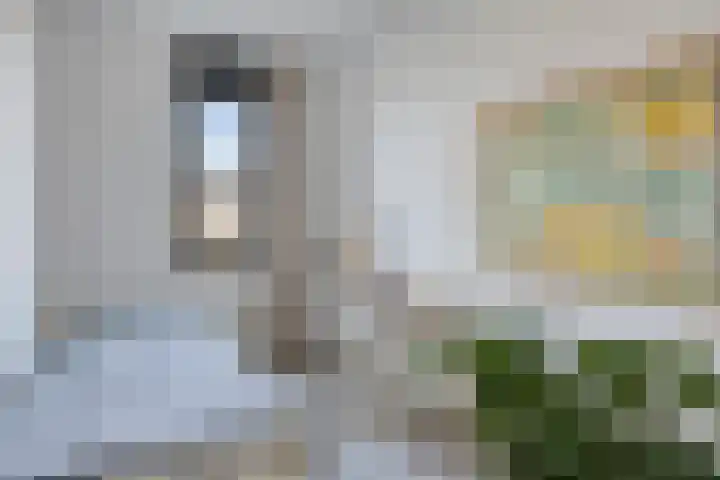 Einthovenpad 43 Rotterdam thumbnail 17