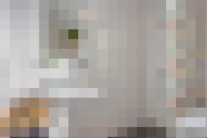 Einthovenpad 43 Rotterdam thumbnail 21