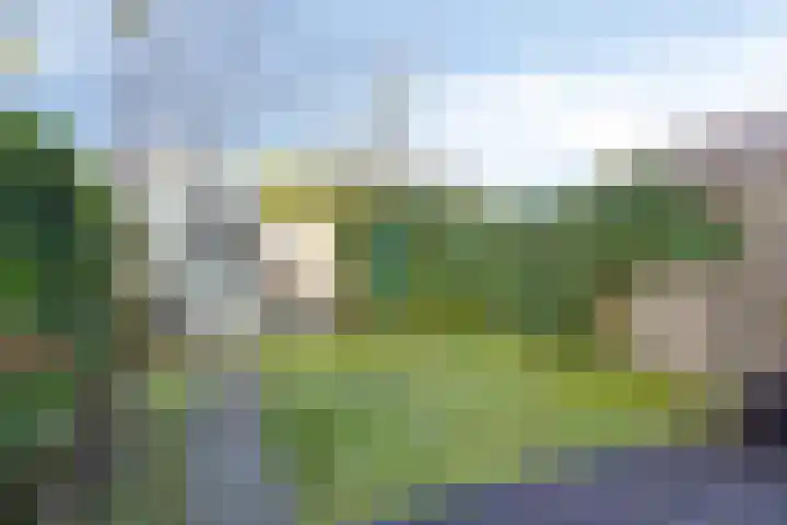 Einthovenpad 43 Rotterdam thumbnail 30
