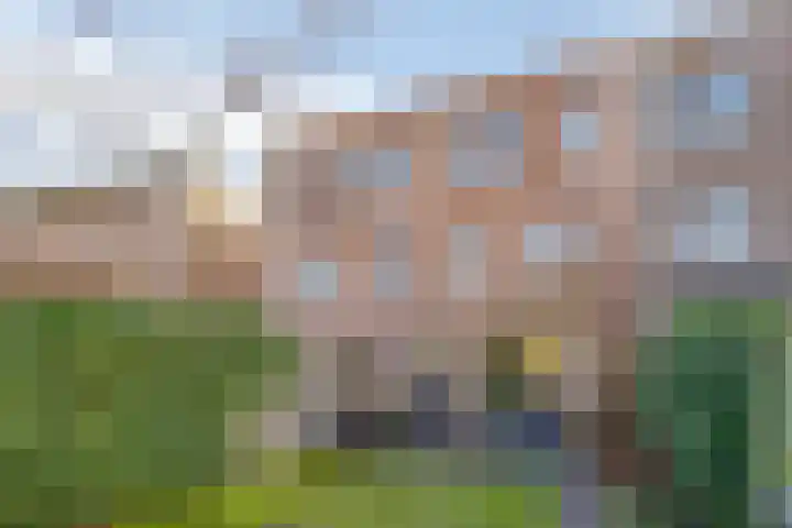 Einthovenpad 43 Rotterdam thumbnail 31