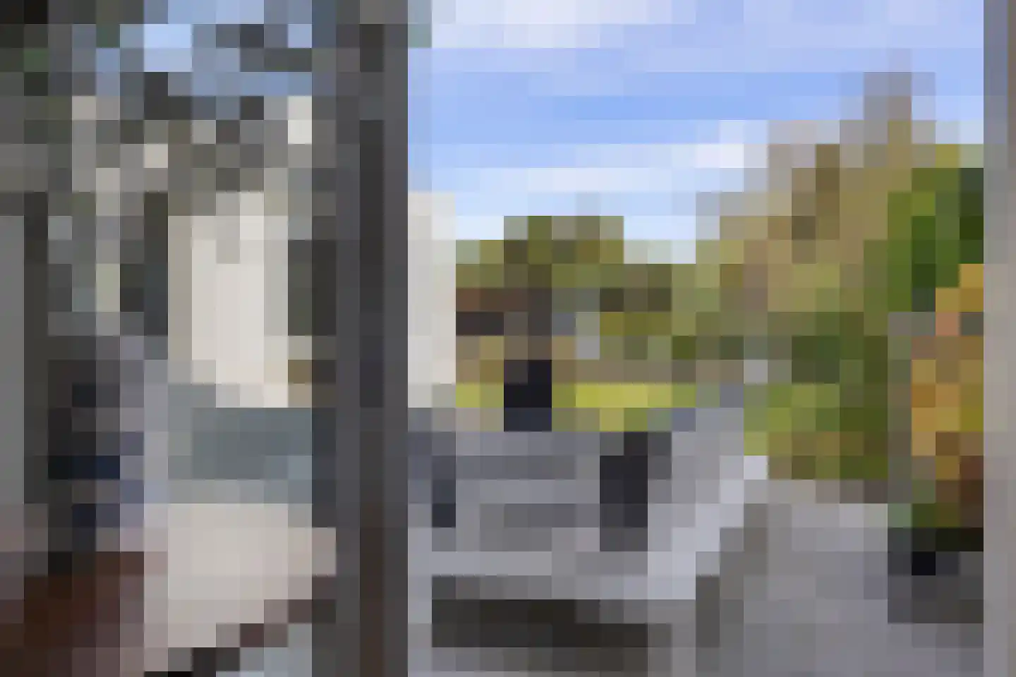 Einthovenpad 43 Rotterdam thumbnail 36