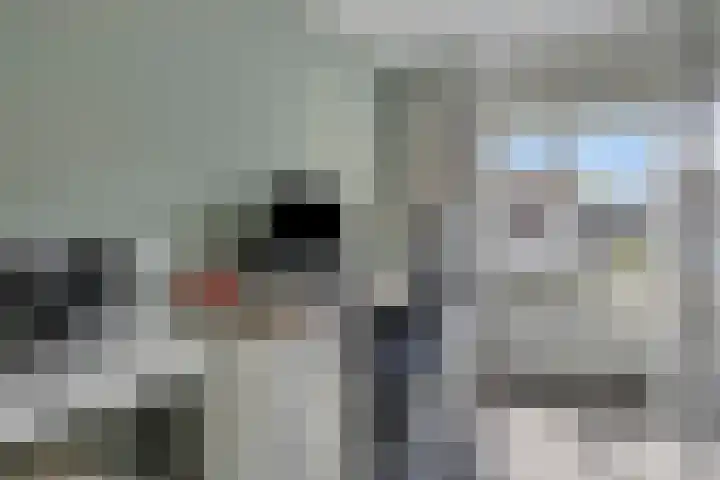 Einthovenstraat 8 Helmond thumbnail 25