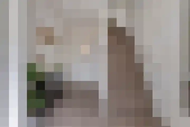 Einthovenstraat 8 Helmond thumbnail 9
