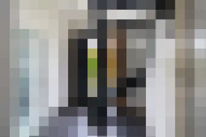 Eise Eisingastrjitte 12 Dronryp thumbnail 13