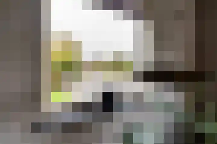 Eise Eisingastrjitte 12 Dronryp thumbnail 18