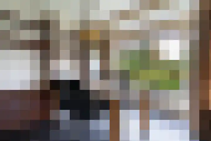 Eise Eisingastrjitte 12 Dronryp thumbnail 20