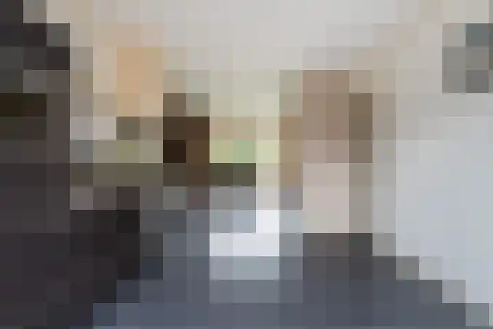 Eise Eisingastrjitte 12 Dronryp foto 3