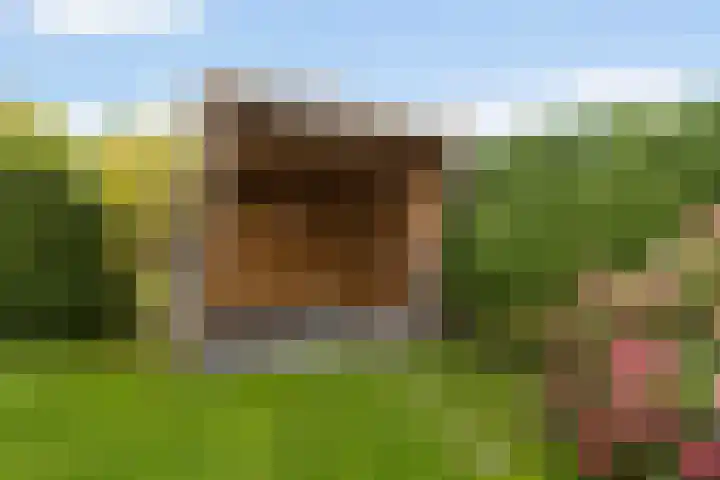 Eise Eisingastrjitte 12 Dronryp thumbnail 38
