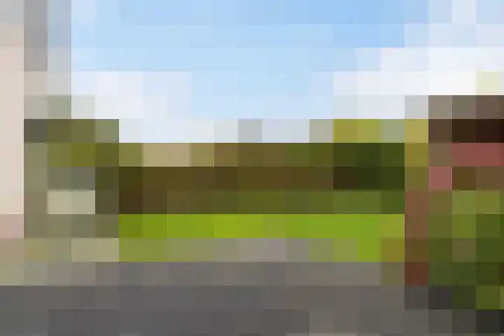 Eise Eisingastrjitte 12 Dronryp thumbnail 39