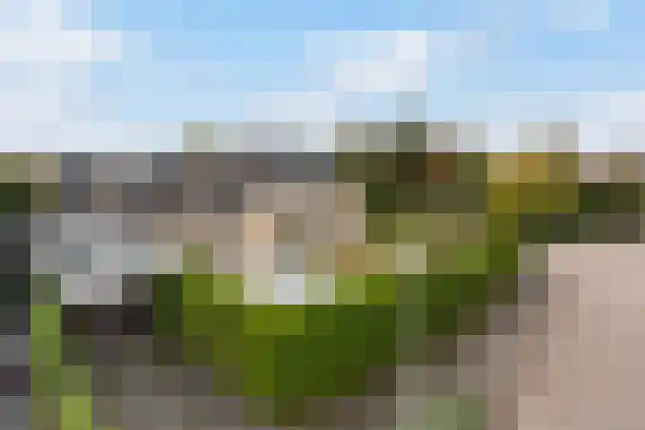 Eise Eisingastrjitte 12 Dronryp thumbnail 42