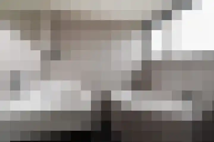 Eise Eisingastrjitte 12 Dronryp thumbnail 5