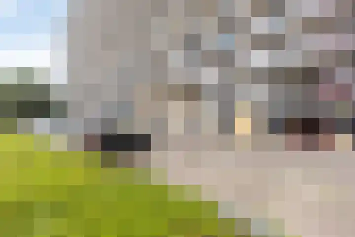 Eisenhowerstraat 390 Sittard thumbnail 34
